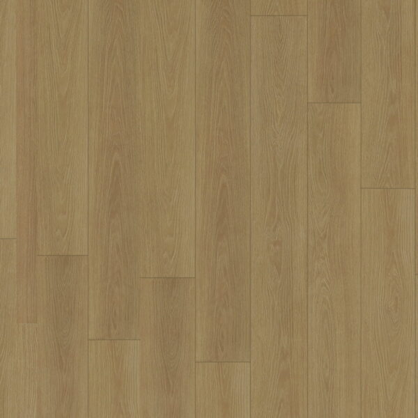PIN OAK