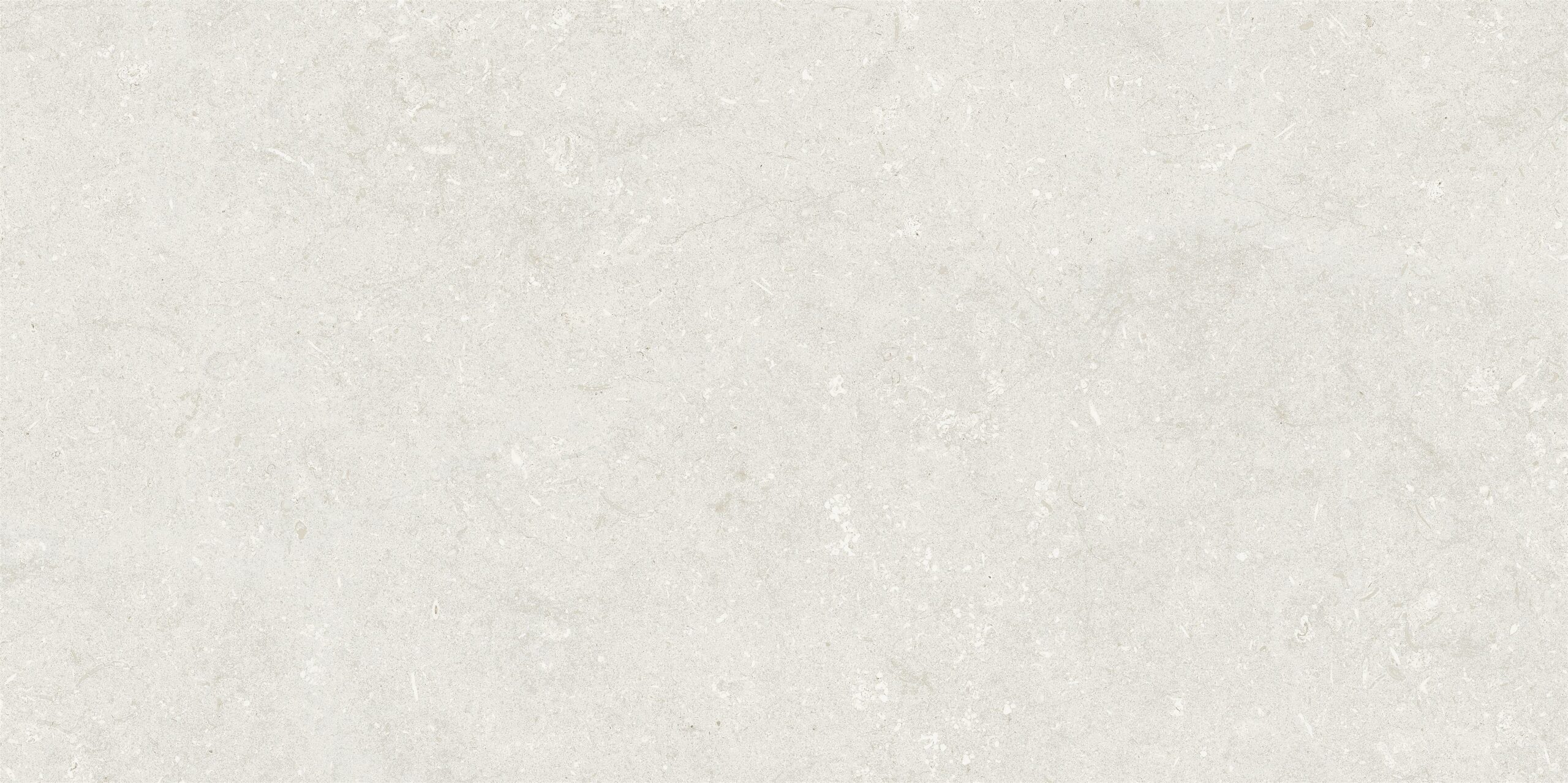 Fossile White