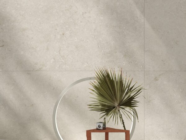 Fossile White